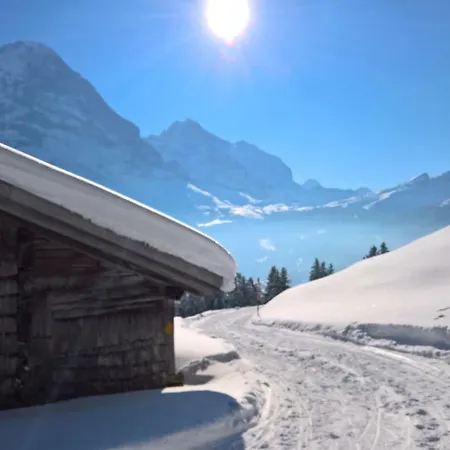 Ferienwohnung Celina * Grindelwald